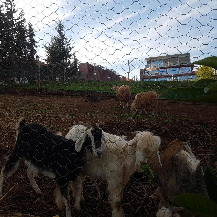 Ferme Bouhouch Oulad Yakoub Exterior foto