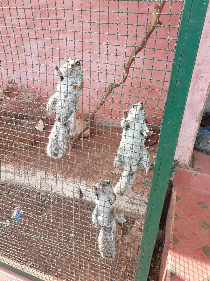 Ferme Bouhouch Oulad Yakoub Exterior foto