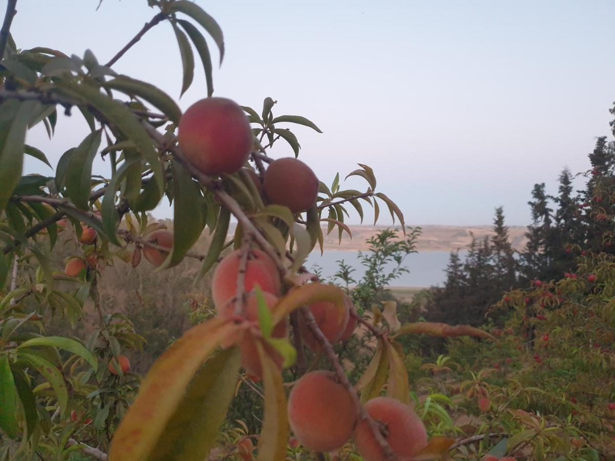 Ferme Bouhouch Oulad Yakoub Exterior foto