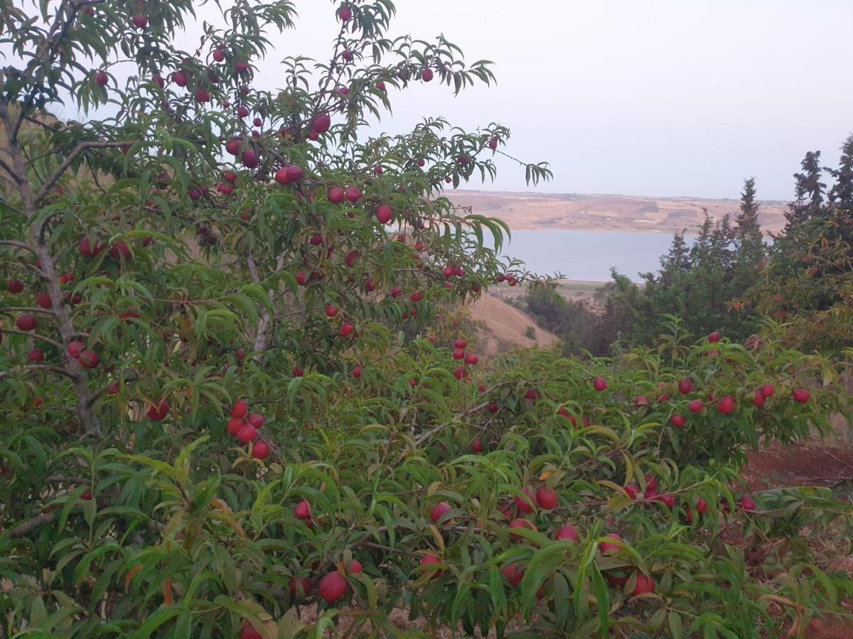 Ferme Bouhouch Oulad Yakoub Exterior foto