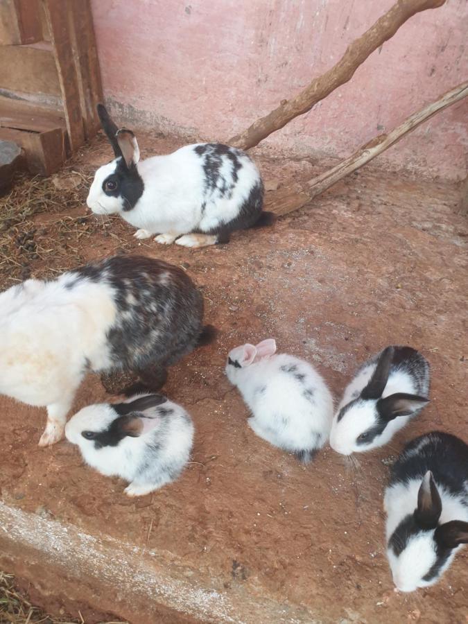 Ferme Bouhouch Oulad Yakoub Exterior foto