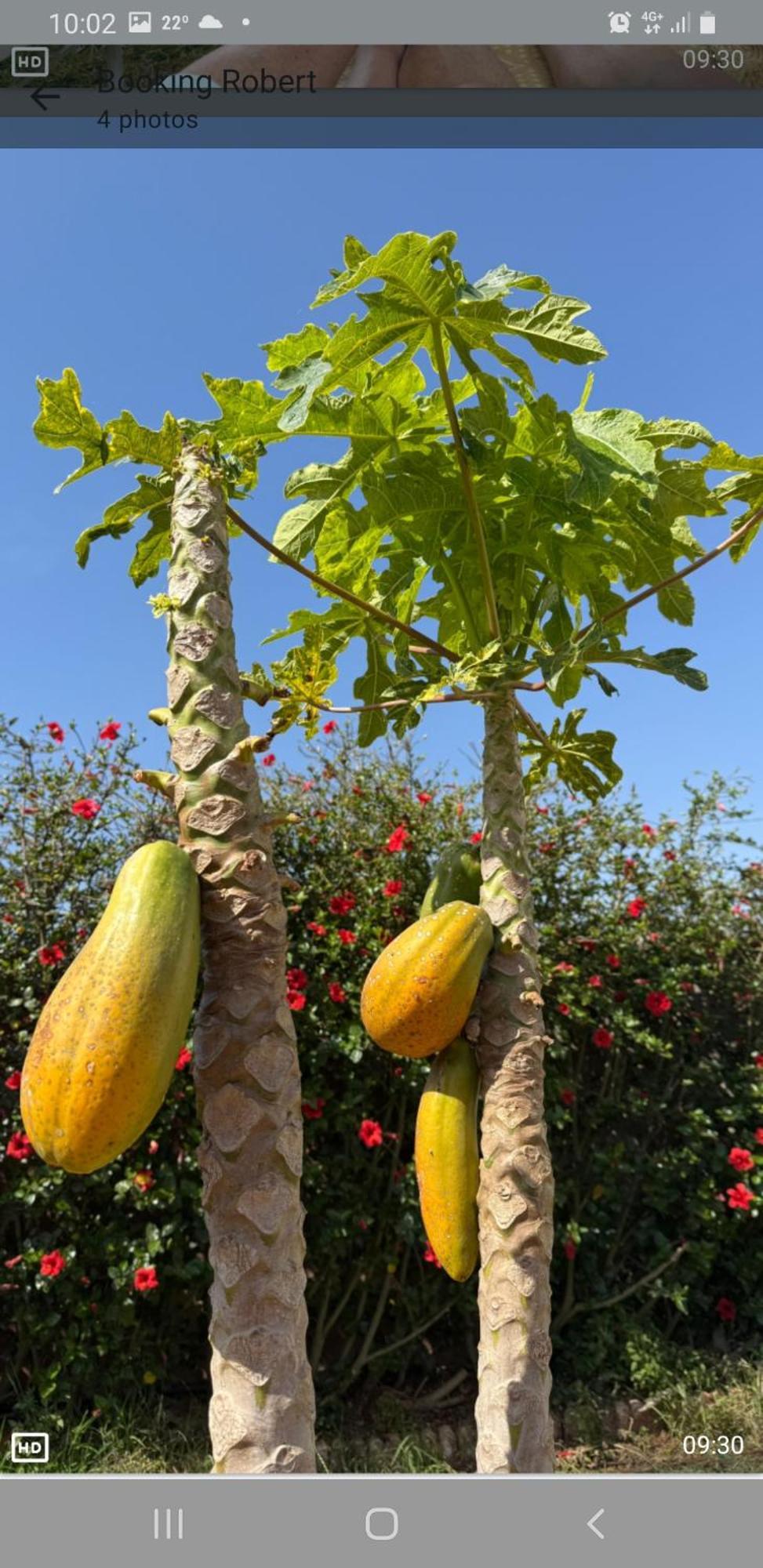 Ferme Bouhouch Oulad Yakoub Exterior foto